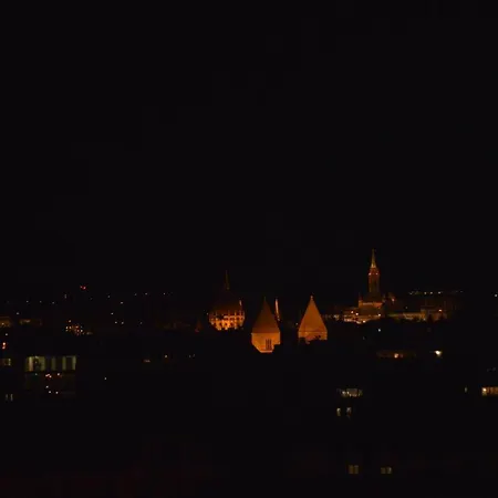 The View